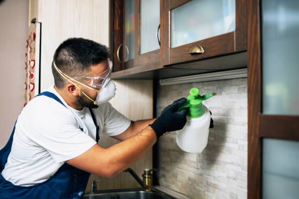 Best Pest Control for Restaurants  in Meriden, CT