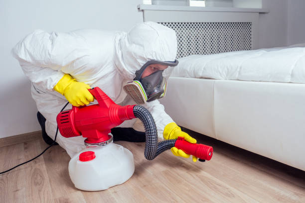 Best Termite Control Services  in Meriden, CT