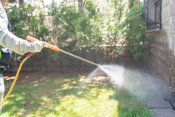 Best Wasp Removal Services  in Meriden, CT