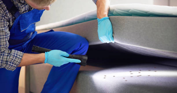 Best Local Pest Control Services  in Meriden, CT